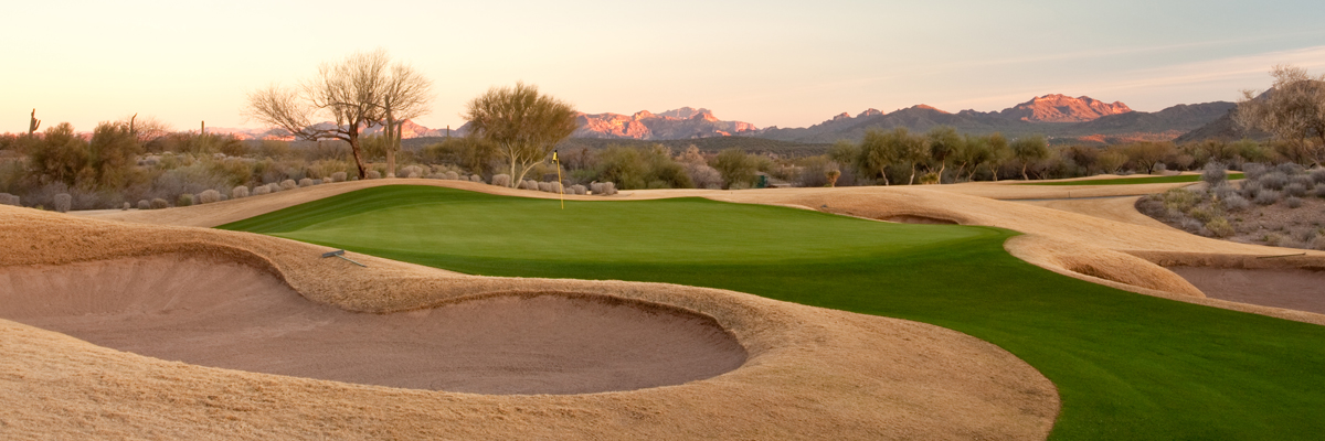 dormant turf